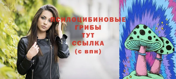 эйфоретик Алексин