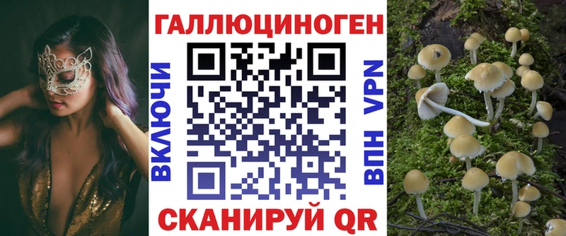 Галлюциногенные грибы прущие грибы  Цивильск 